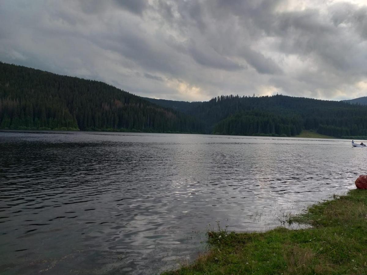 Pensiunea Floare De Colt Beliş Buitenkant foto